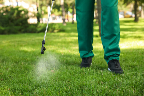 Best Bed Bug Extermination  in Lake Elsinore, CA