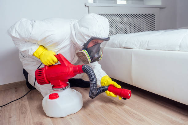 Best Bed Bug Extermination  in Lake Elsinore, CA